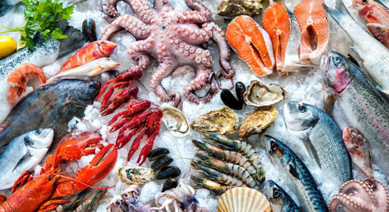 Materia Prima 6 768x419