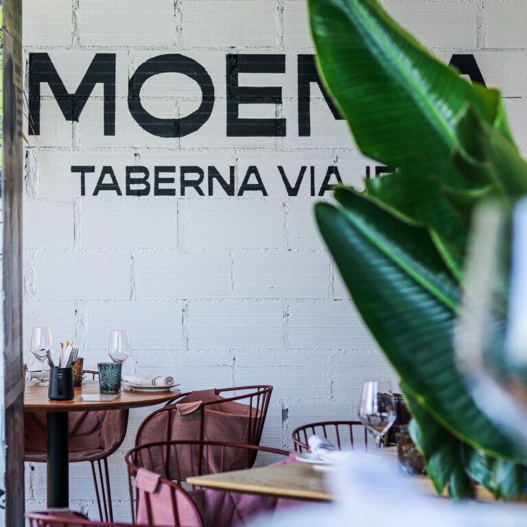 Moemia Taberna Viajera 4 768x768