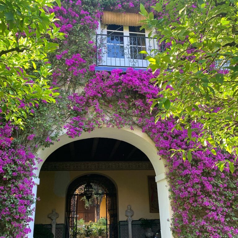 Palacio de Las Duenas 10 768x768