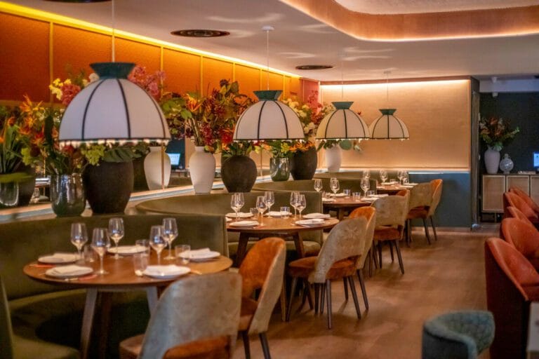 Pato Salvaje 2 768x512