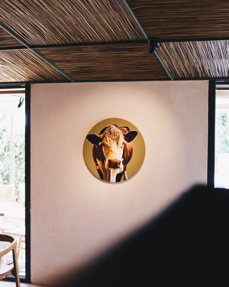 Primera Vaca 10 768x960