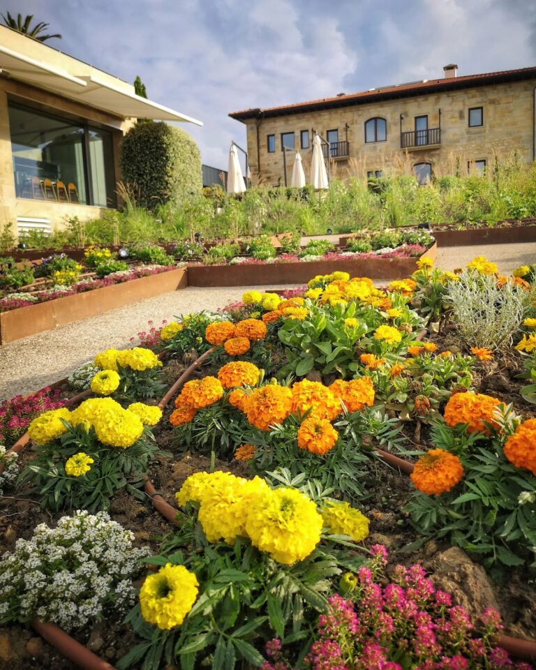 Tella Asturias 13 768x960