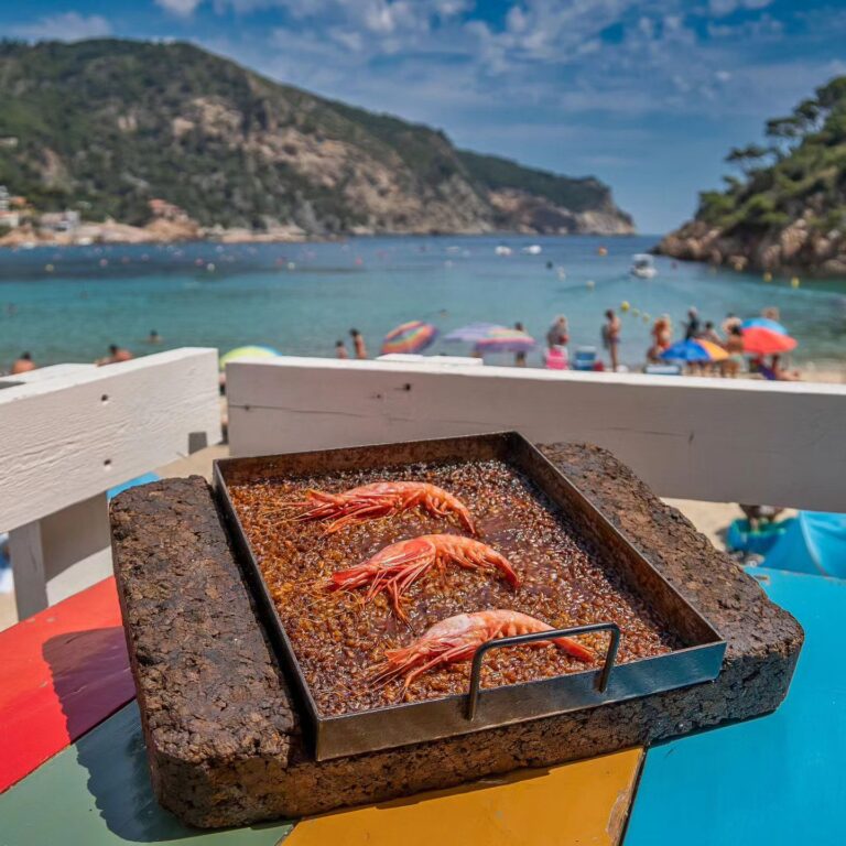 Toc al Mar 4 768x768