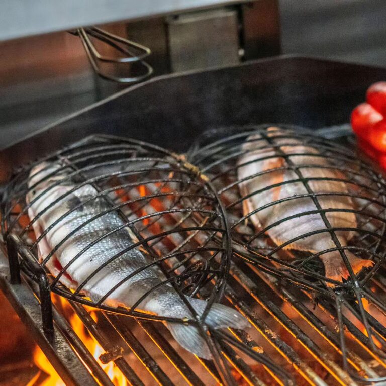 Toc al Mar 6 768x768