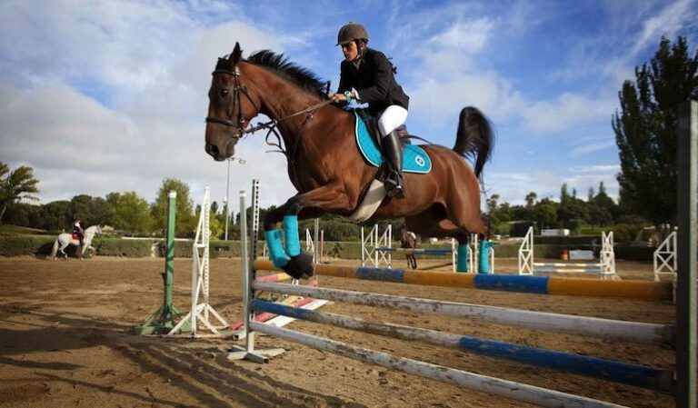 Club las Encinas de Boadilla 7 768x449