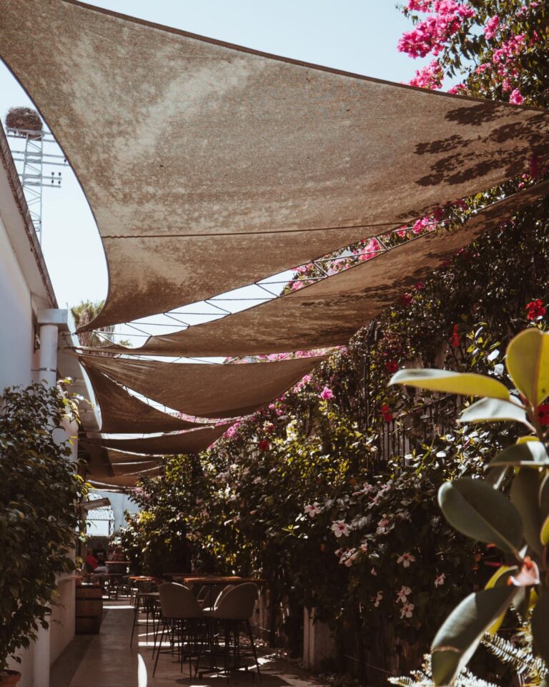 Entrebotas 7 768x961