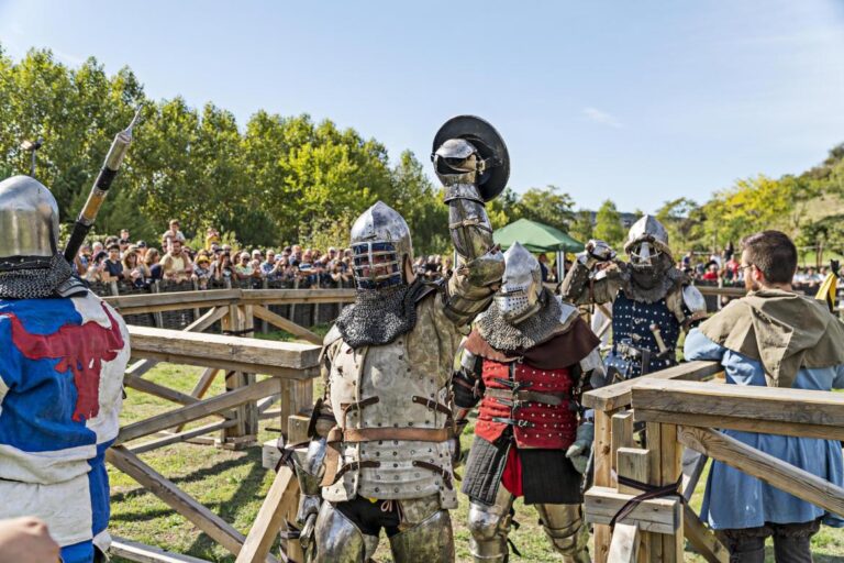 Exhibicion de combate medieval en el Castillo de Manzanares el Real 3 768x512
