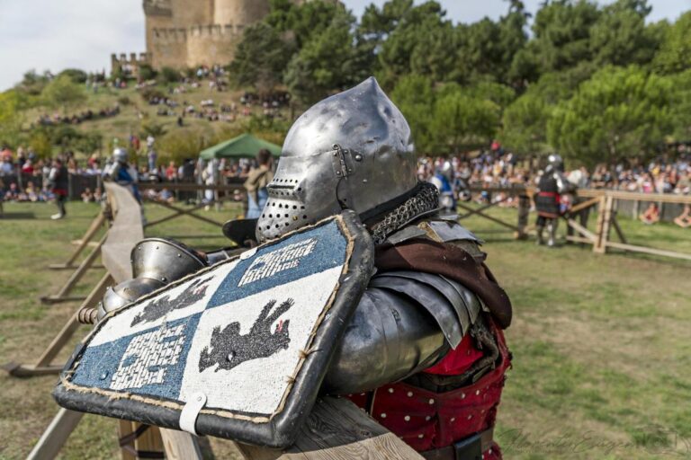 Exhibicion de combate medieval en el Castillo de Manzanares el Real 4 768x512