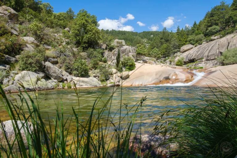 La Charca Verde 3 768x512