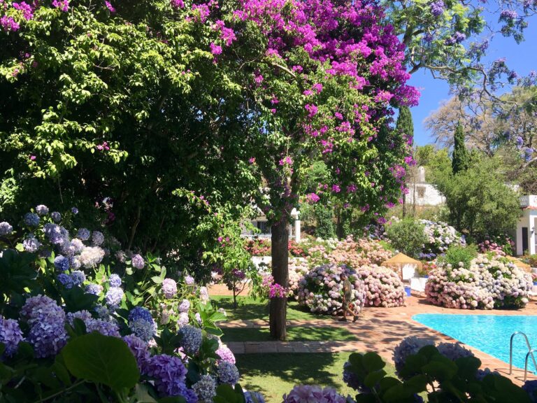 Meson de Sancho 3 768x576