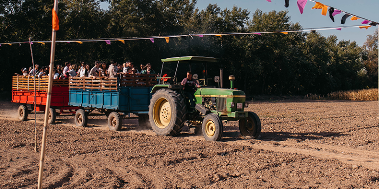 Pumpkin Patch en La Huerta de Aranjuez 1 768x384