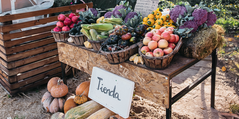 Pumpkin Patch en La Huerta de Aranjuez 2 1 768x384