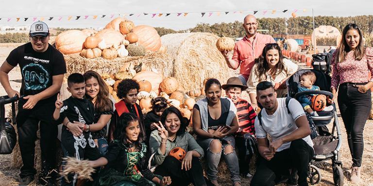Pumpkin Patch en La Huerta de Aranjuez 5 1 768x384