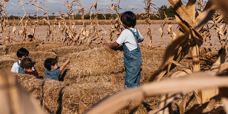 Pumpkin Patch en La Huerta de Aranjuez 6 1 768x384