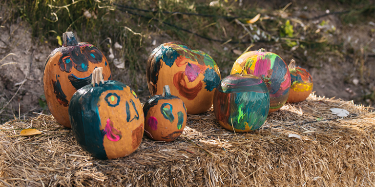 Pumpkin Patch en La Huerta de Aranjuez 8 1 768x384