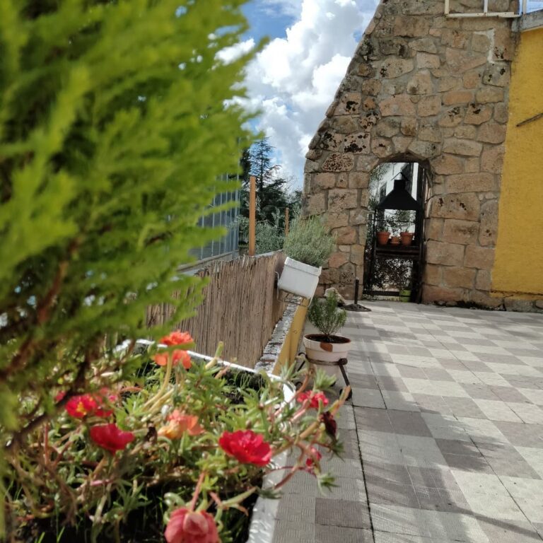 Asador de Esther 3 768x768