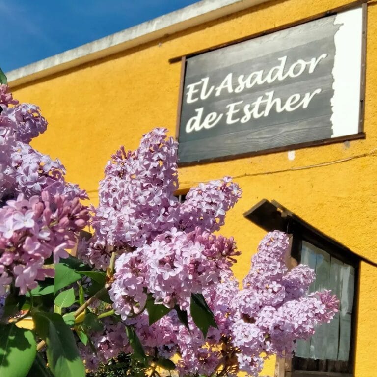 Asador de Esther 768x768
