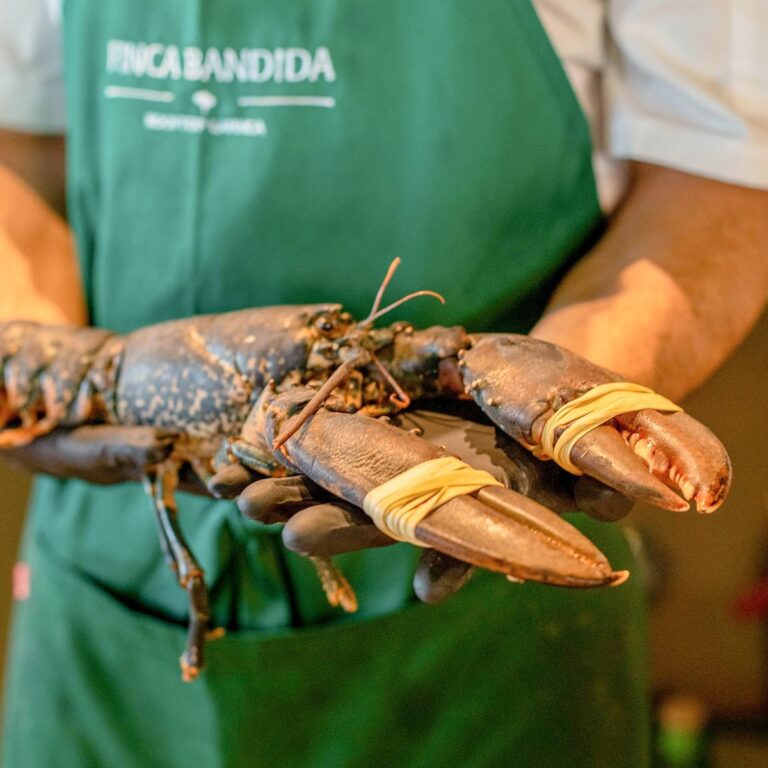 Finca Bandida 12 768x768