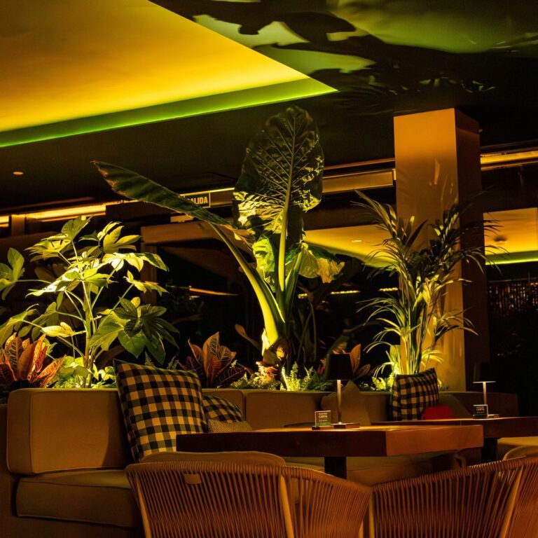 Finca Bandida 8 768x768