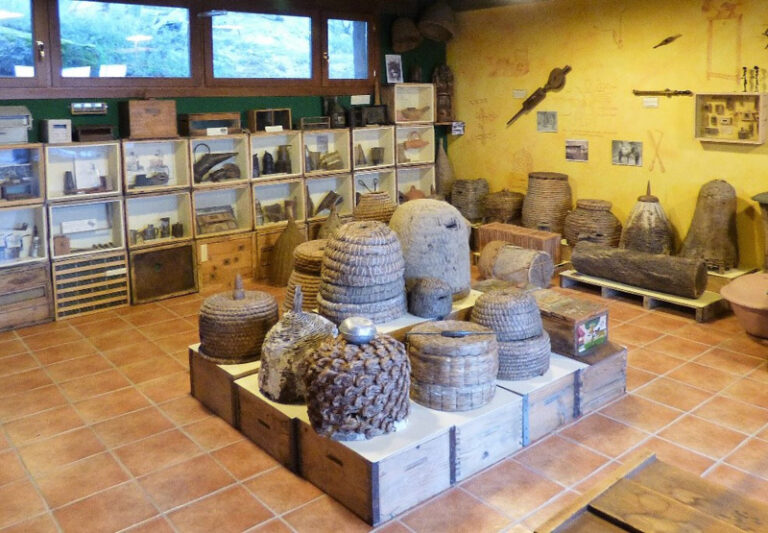 Museo y Aula Apicola Sierra de Hoyo 4 768x533