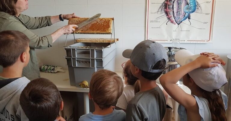 Museo y Aula Apicola Sierra de Hoyo 8 1 768x402