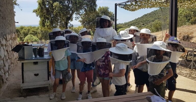 Museo y Aula Apicola Sierra de Hoyo 9 768x402