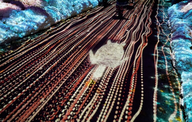 Naturaleza Encendida Explorium Experiencia de luces inmersiva en Tenerife 2 768x486