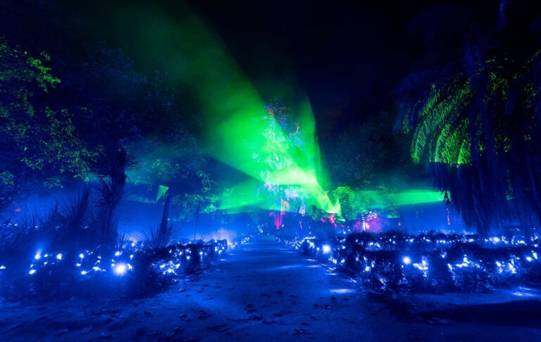 Naturaleza Encendida Explorium Experiencia de luces inmersiva en Tenerife 3 768x486