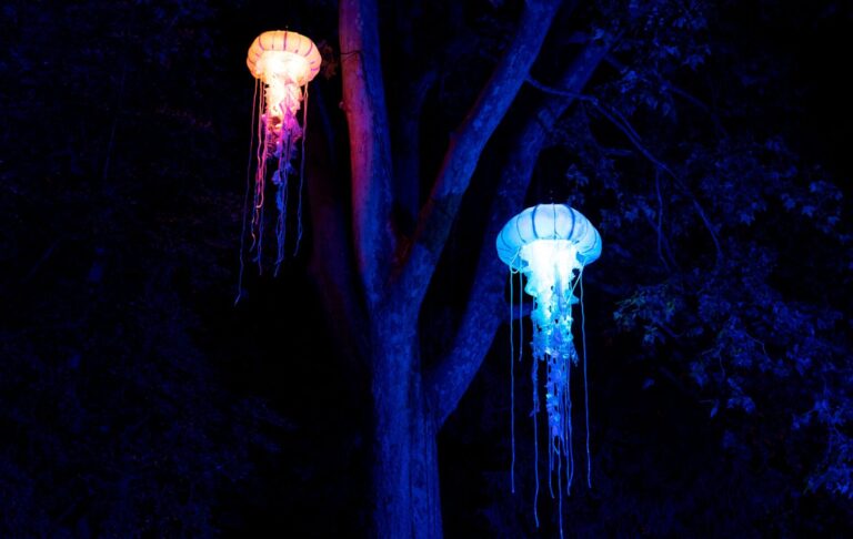 Naturaleza Encendida Explorium Experiencia de luces inmersiva en Tenerife 5 768x486