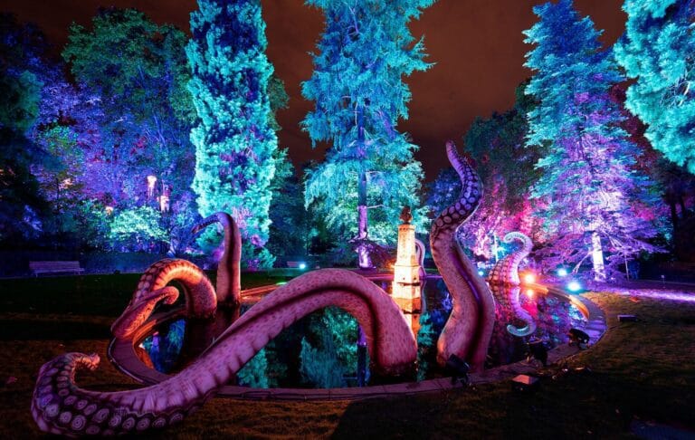 Naturaleza Encendida Explorium Experiencia de luces inmersiva en Tenerife 768x486