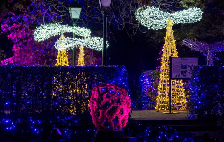 Origen Natura Encesa Experiencia luminica inmersiva en Barcelona 2 768x486