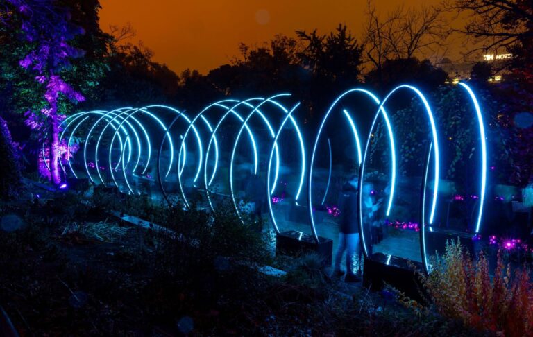 Origen Natura Encesa Experiencia luminica inmersiva en Barcelona 5 768x486