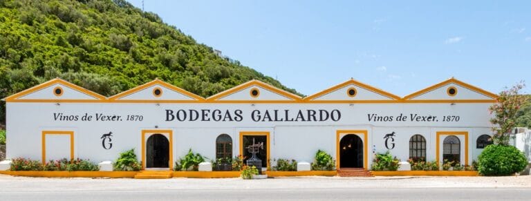 Bodegas Gallardo 768x291