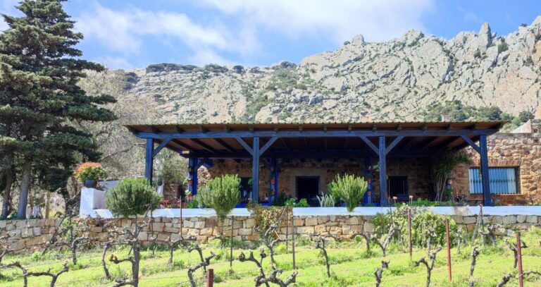 El Tesoro Experience 2 768x407