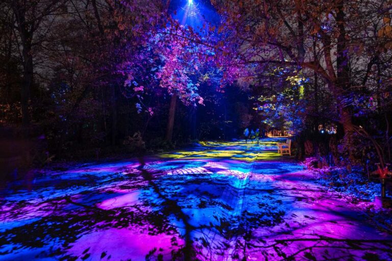 Els Llums de Sant Pau 768x512