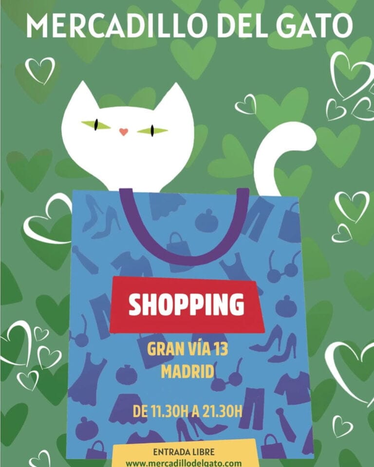 Mercadillo del Gato Gran Via 13 Madrid 1 768x960