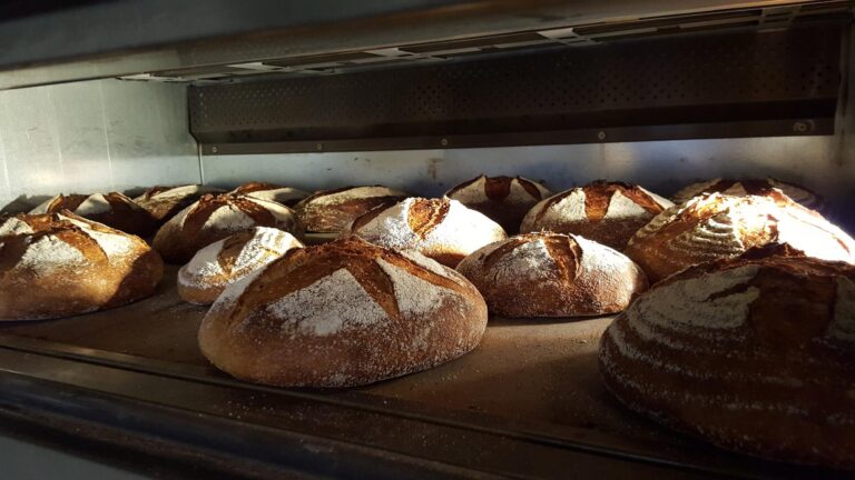 Panadiario 4 768x432