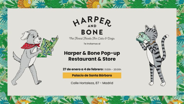 Pop Up de Mascotas Harper Bone en Palacio Santa Barbara 768x432