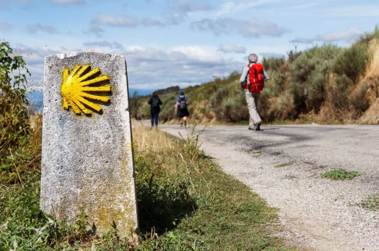 Camino de Santiago 768x509
