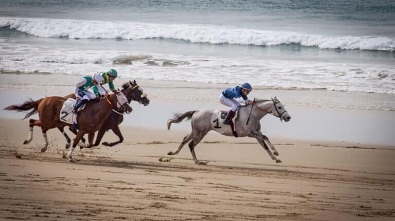 Gran Premio de Zahara 2024 768x431