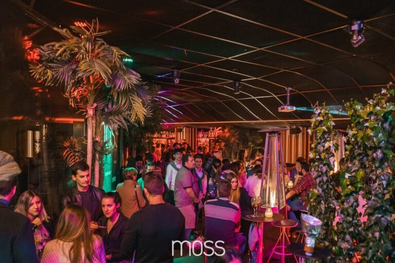 Moss Bar 768x512
