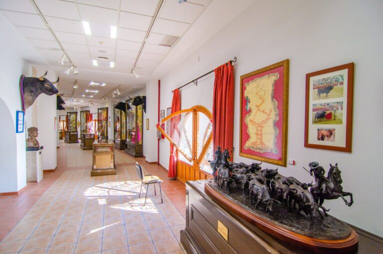 Plaza de Toros Alicante 3 768x509