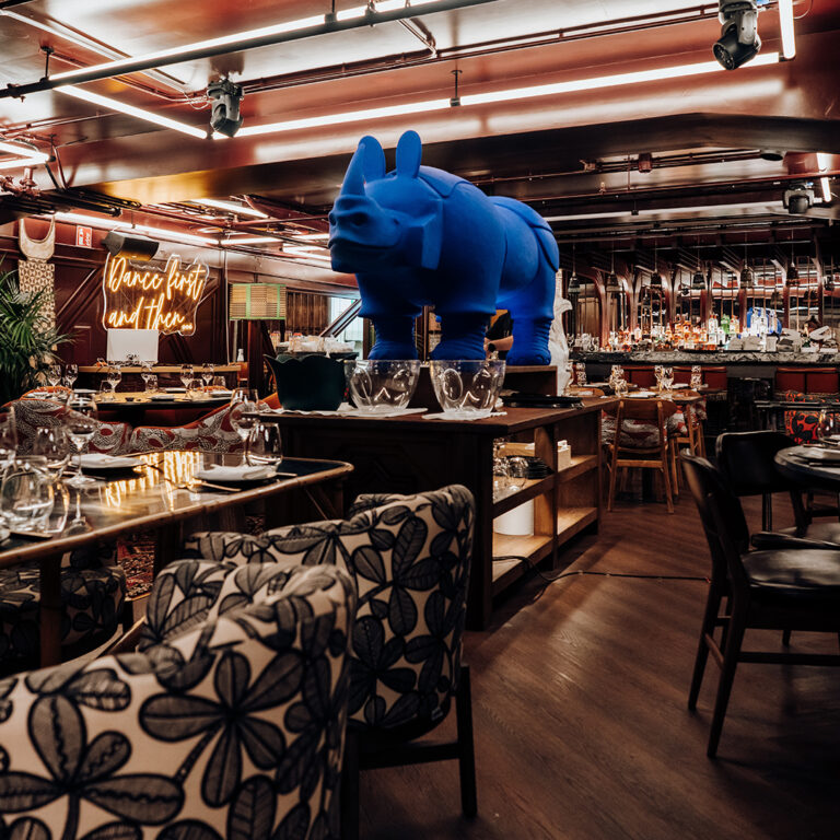 SLVJ Salvaje Valencia 5 768x768