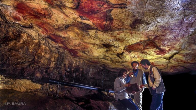 Cuevas de Altamira 5 768x432