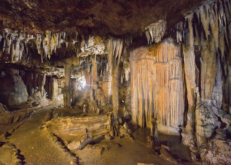 Cuevas de Altamira 7 768x551