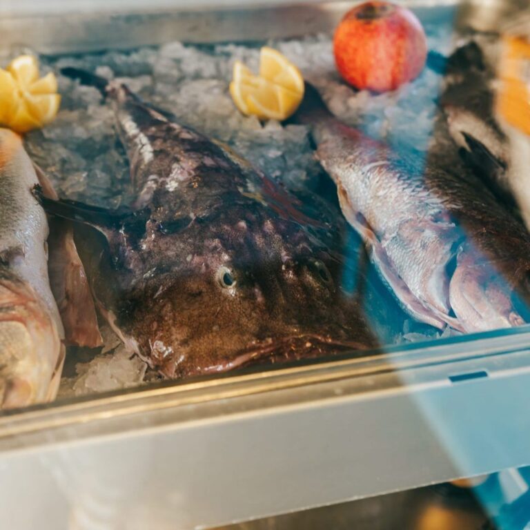 La Tonada de La Guia 7 768x768