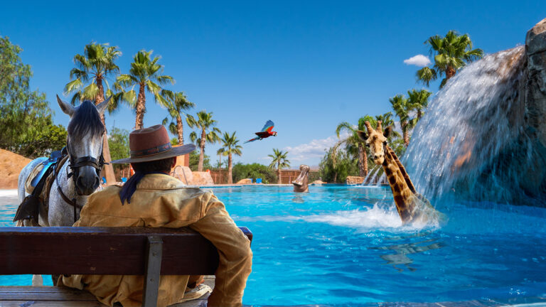 Mini Hollywood Oasys 11 768x432