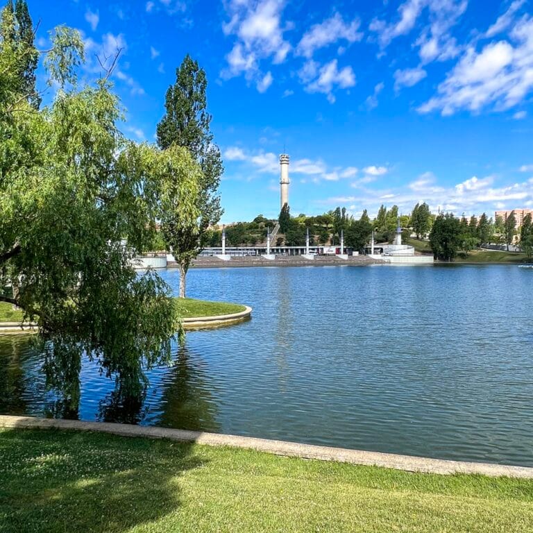 Parque Central de Tres Cantos 4 768x768