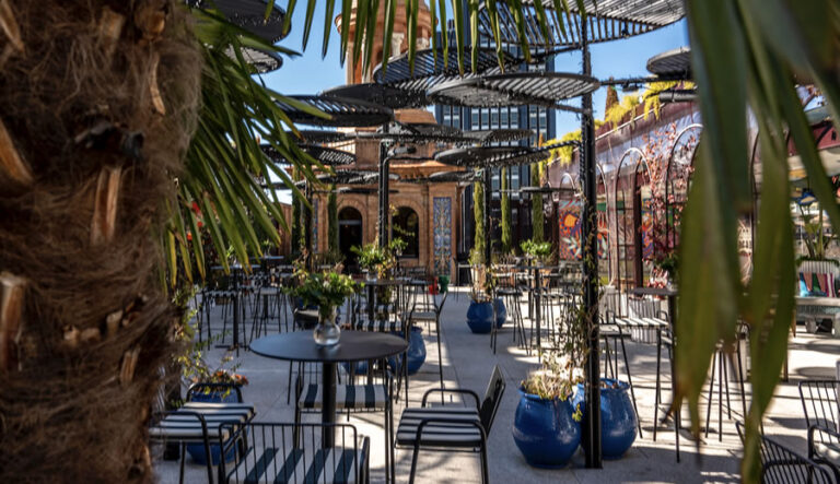 Terracita Social Club 768x443