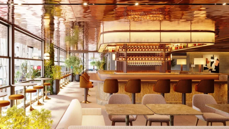 Bikini Bar 8 768x432